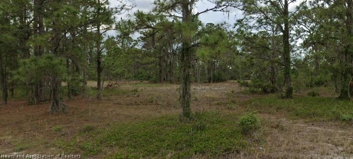 311 Summertime Ave, Lake Placid, FL 33852 - photo 1