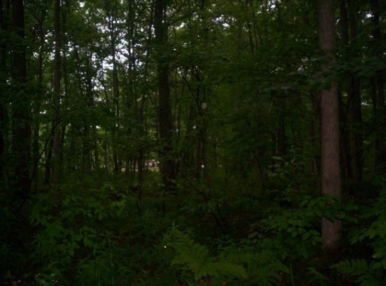 0 Broadway unit 14036770, Bitely, MI 49309 - photo 1