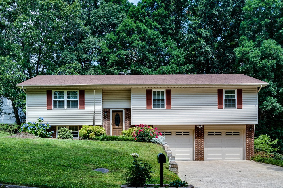 8705 Freida Ln-1