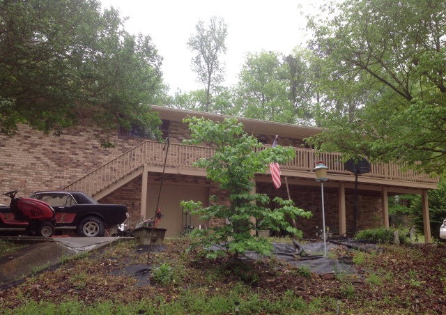 Main View