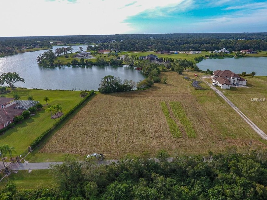 13023 Tall Redwood Ln, Dover, FL 33527 - photo 1