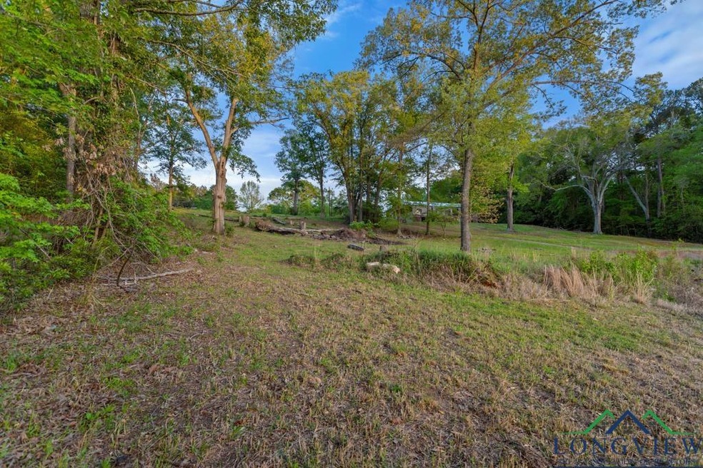 17930 Eastside Rd, Troup, TX 75789 - photo 1