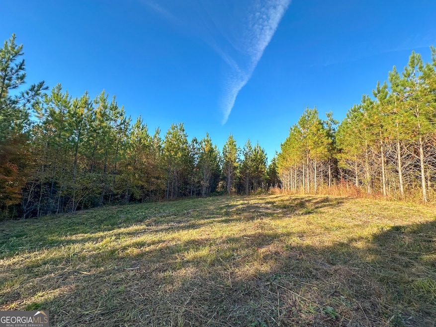 0 Jordon Rd unit 10652075, Waverly Hall, GA 31831 - photo 1