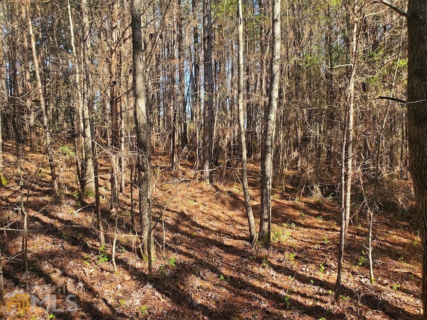 0 Heather Cir unit 10141182, Cave Spring, GA 30124 - photo 1