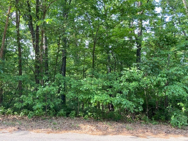 Lot 10 Brierton Ln, Bella Vista, AR 72715 - photo 1