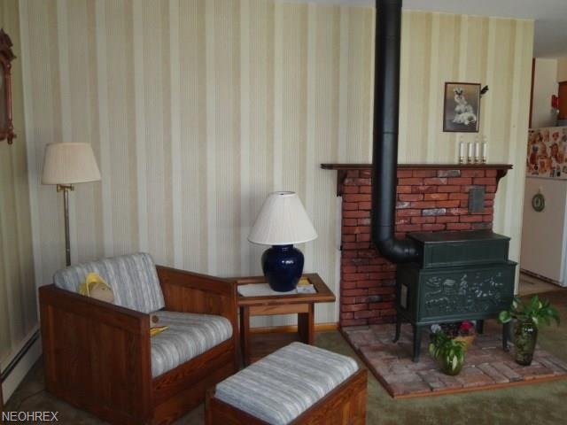 Pellet stove in living room for extra warmth in the cold months