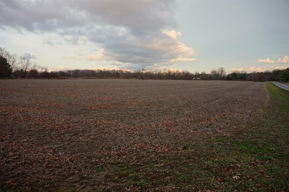 LOOKING EAST