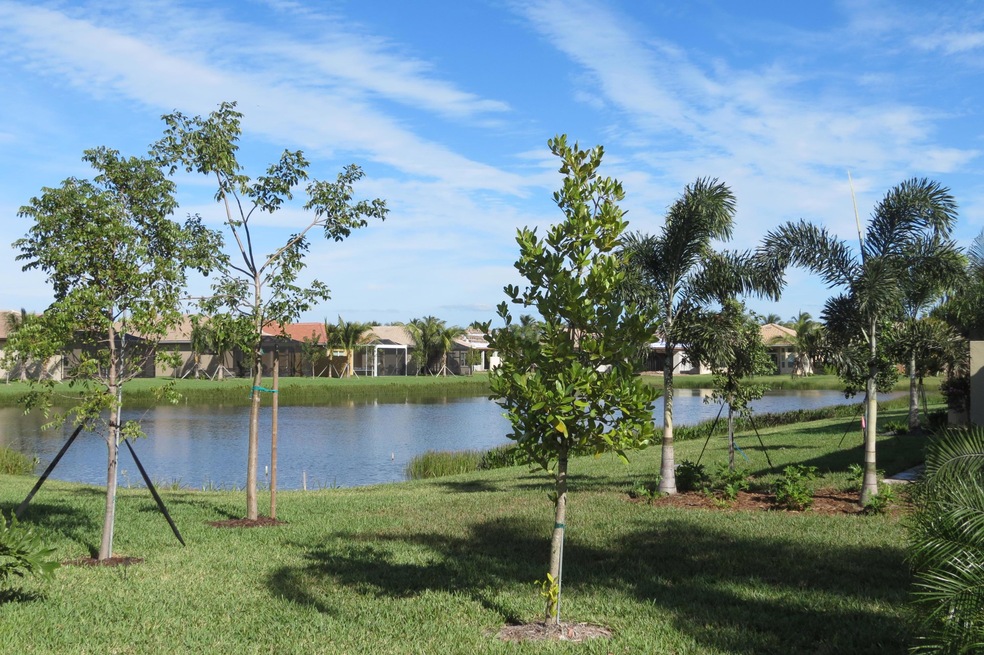 Lake View