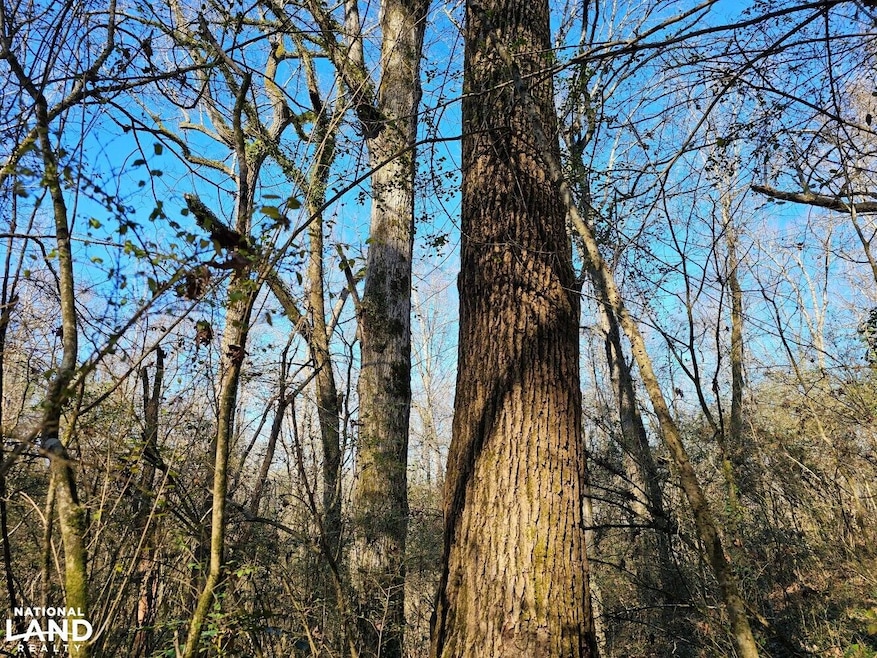 000 Bud Holmes Rd, Pinson, AL 35126 - photo 1