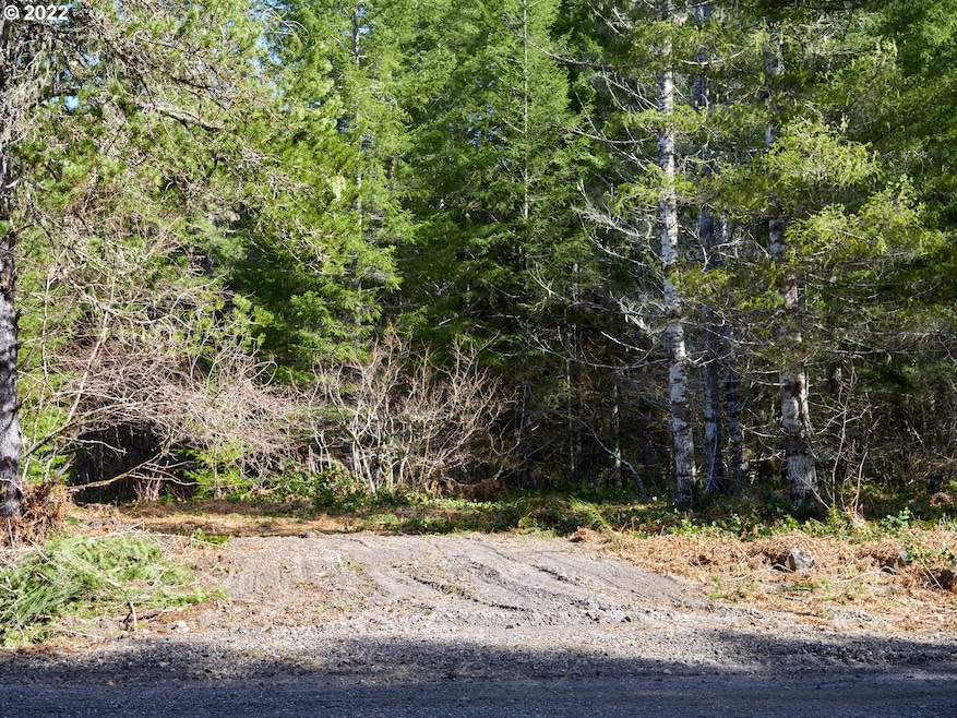 0 Lahar Ln unit 8 20357887, Cougar, WA 98616 - photo 1