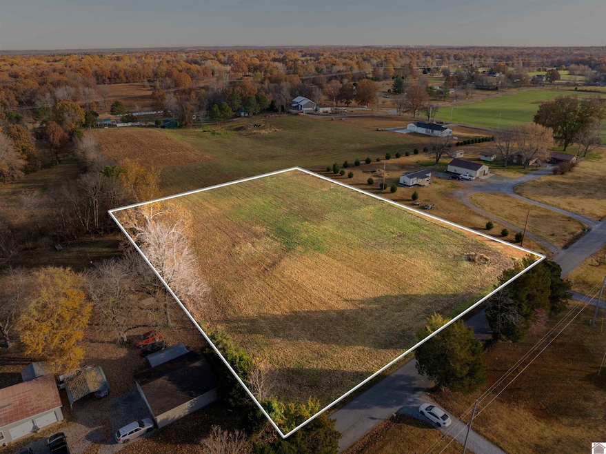 000 Dunnigan Ln, Benton, KY 42025 - photo 1