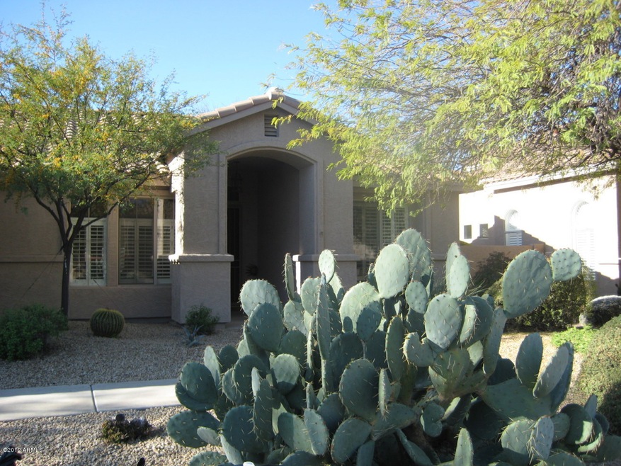Front view 1