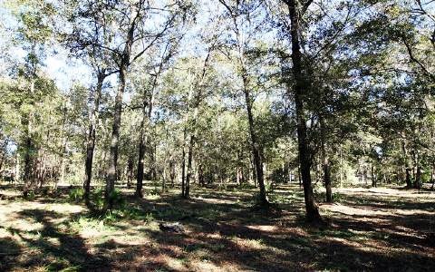 TBD Us 441, Lake City, FL 32055 - photo 1