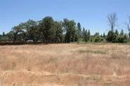 Forks 2