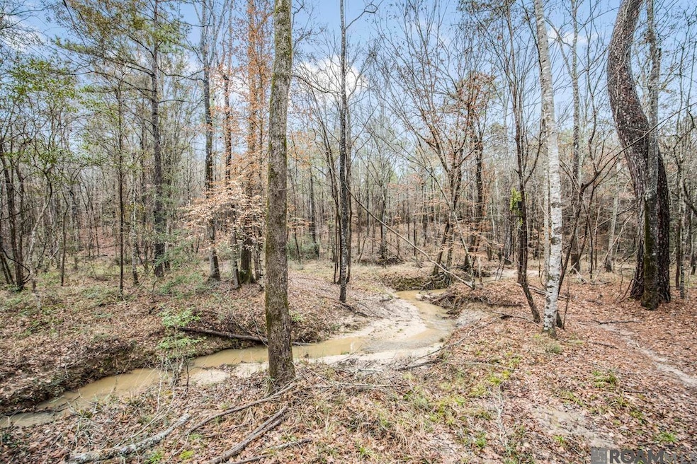 000 Rogers Rd, St. Francisville, LA 70775 - photo 1