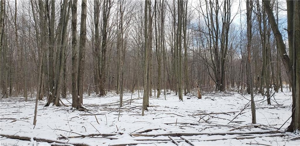 Parcel is lightly wooded