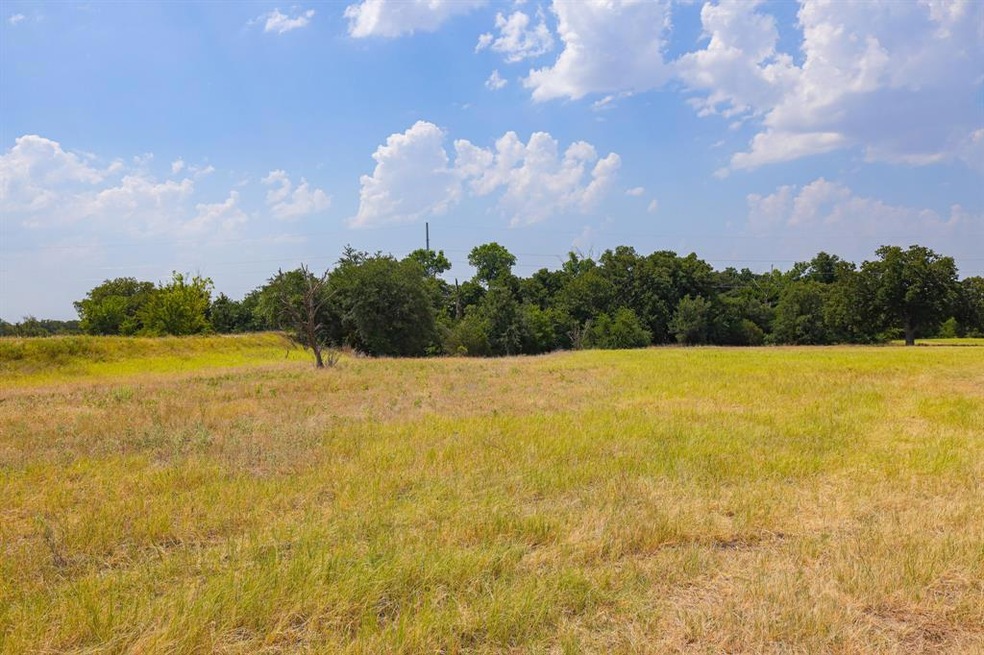 13 Aslan Rd, Poolville, TX 76487 - photo 1