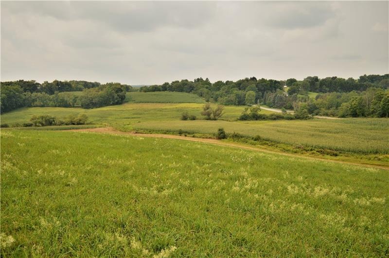 View from Meadowview Cul De Sac with crops Planted