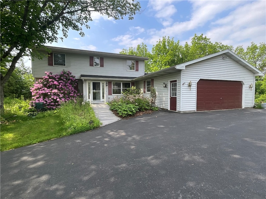 North side of house.