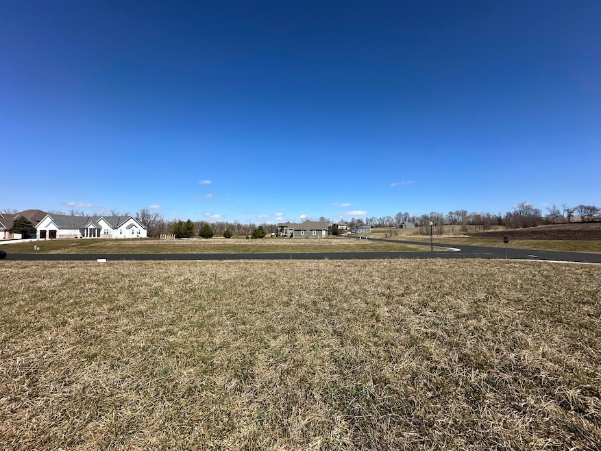 Lot 58 Looking Out