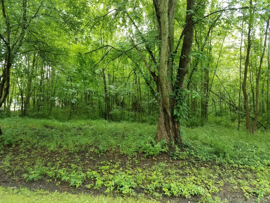 20170623_103717