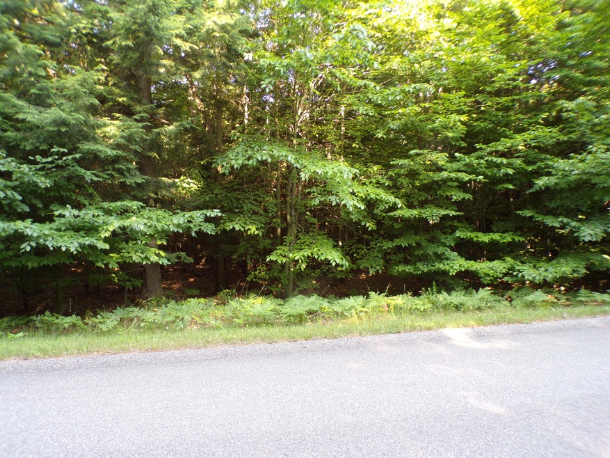 Lot from Street
