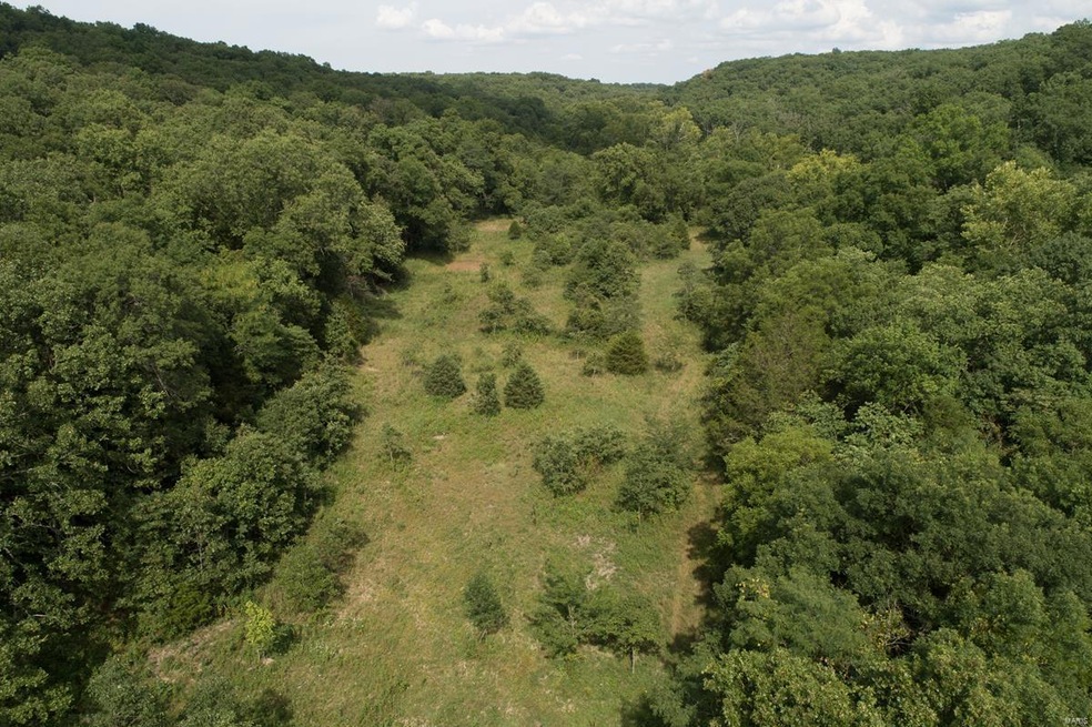 0 Maries Road 517 unit 18060410, Vichy, MO 65580 - photo 1