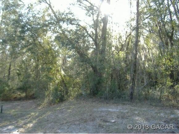 247 Indian Lakes Forest Rd, Florahome, FL 32140 - photo 1