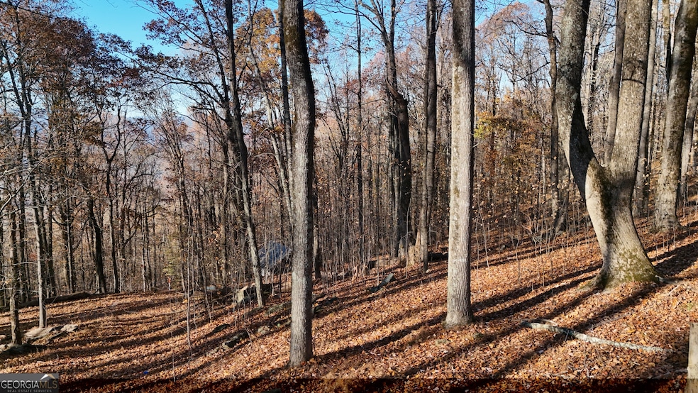 LOT 11 Mountainside Dr, Cleveland, GA 30528 - photo 1