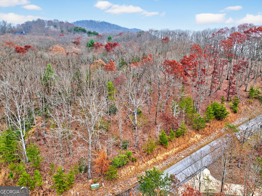 #185 N Shore Dr, Cleveland, GA 30528 - photo 1