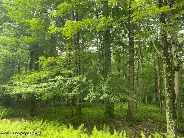 114 Falling Brook Ct, Blooming Grove Township, PA 18428 - photo 1