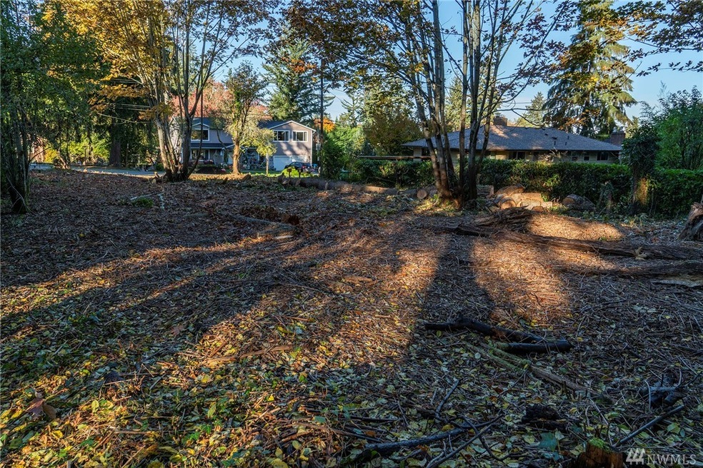 42 89th Ave SE, Mercer Island, WA 98040 - photo 1
