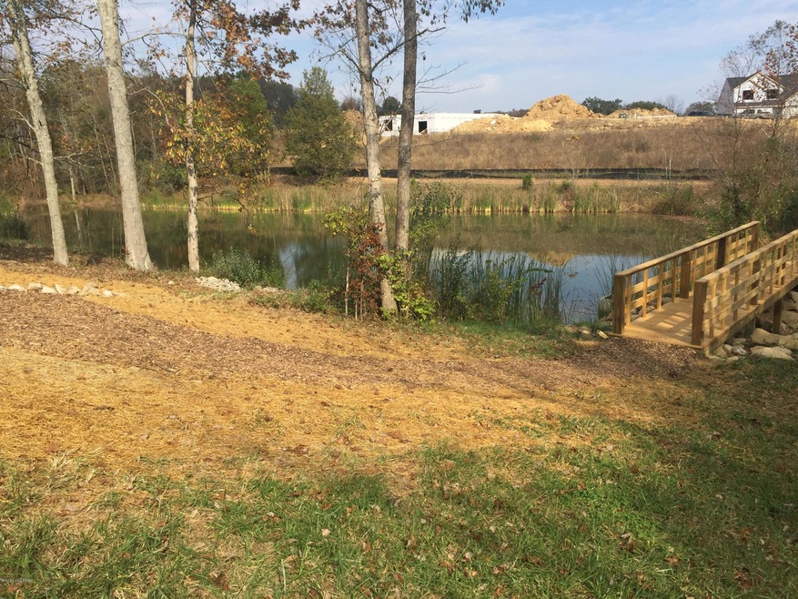 Bridge in Open Space