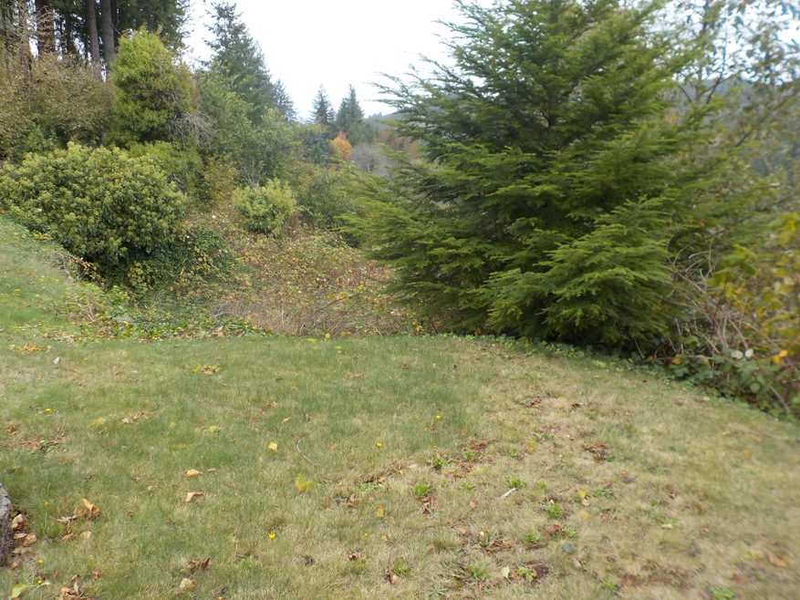 View of Property from 6th St.