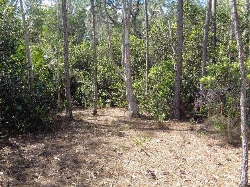 DSC02025