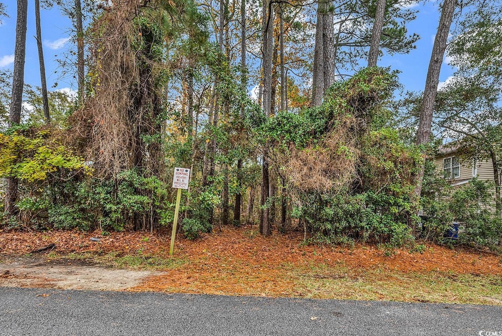 T.B.D. Hickory Dr unit T.B.D. Hickory Drive, Surfside Beach, SC 29575 - photo 1