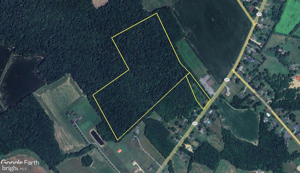 38.6 +/- Acres Wheatleys Pond Rd, Smyrna, DE 19977 - photo 1