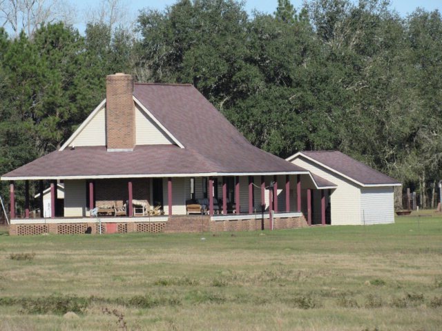 Main View