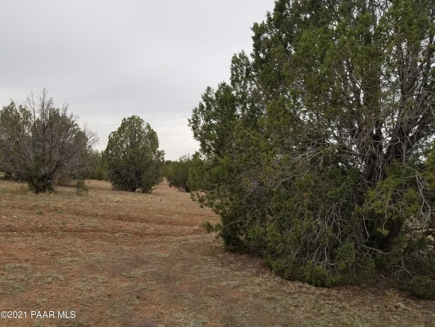 Yucca Trail