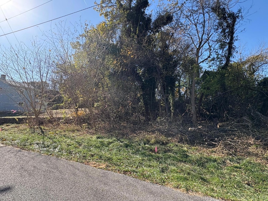 2009 Elm St, Lynchburg, VA 24504 - photo 1