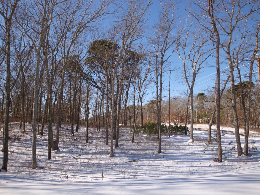 222 Tashmoo Ave, Vineyard Haven, MA 02568 - photo 1