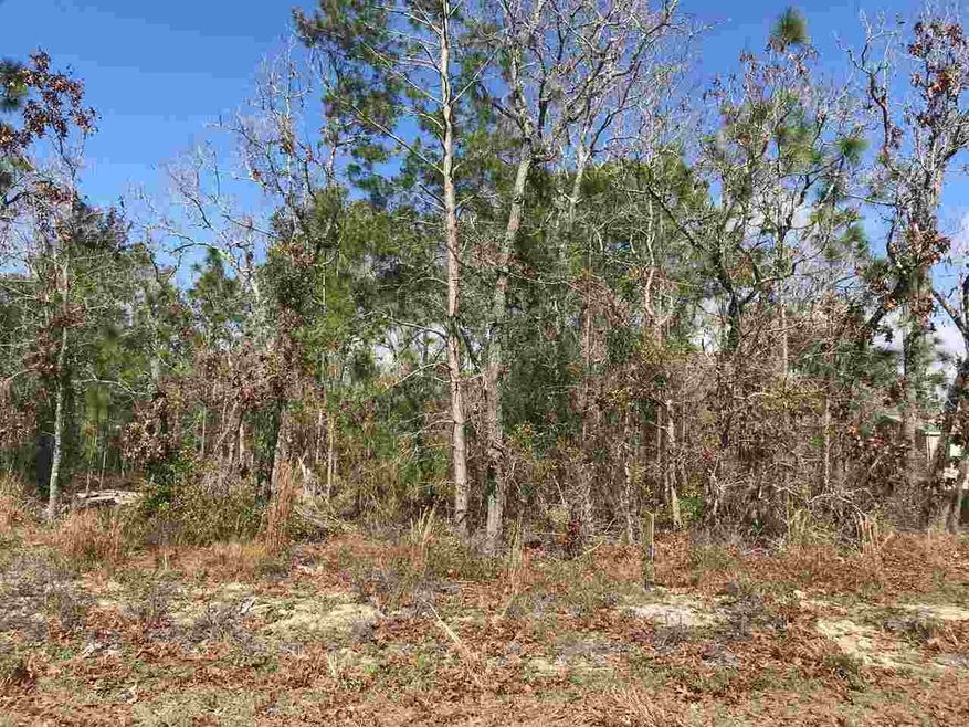 0 Post Oak Rd unit Lot 220 290232, Perry, FL 32348 - photo 1