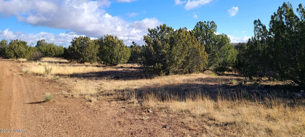 Kaibab