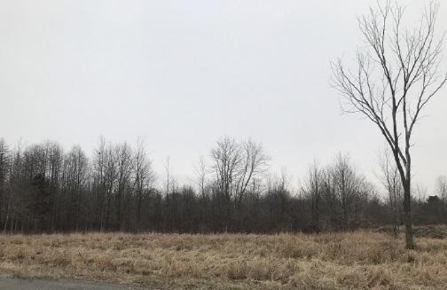 0 Prairie Rd, Lakeside, MI 49128 - photo 1