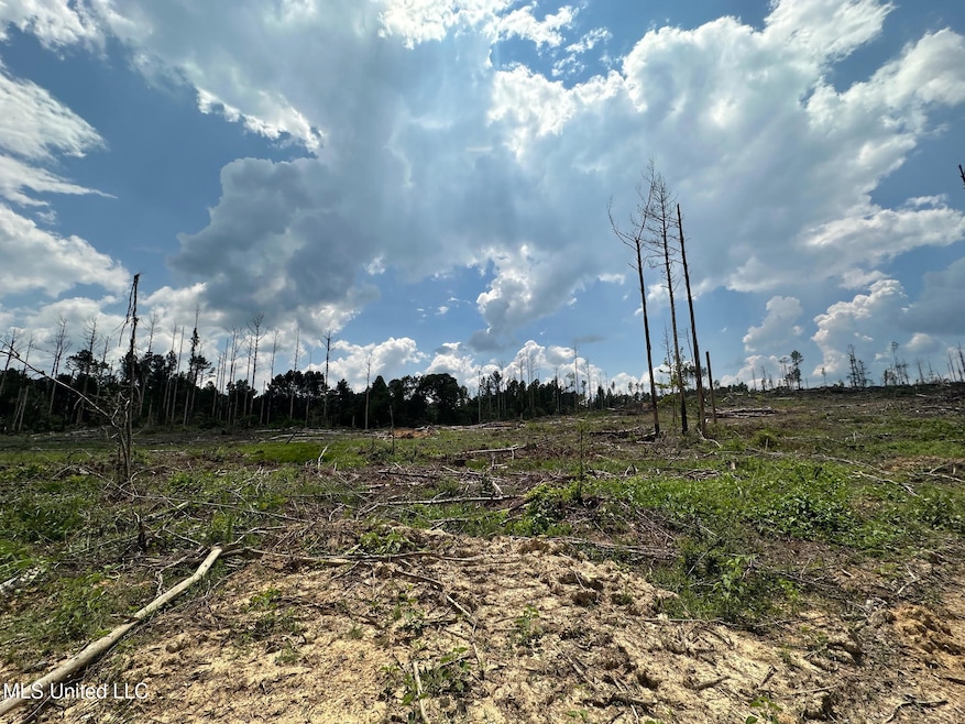 0 Whitetown Ln, Hazlehurst, MS 39083 - photo 1