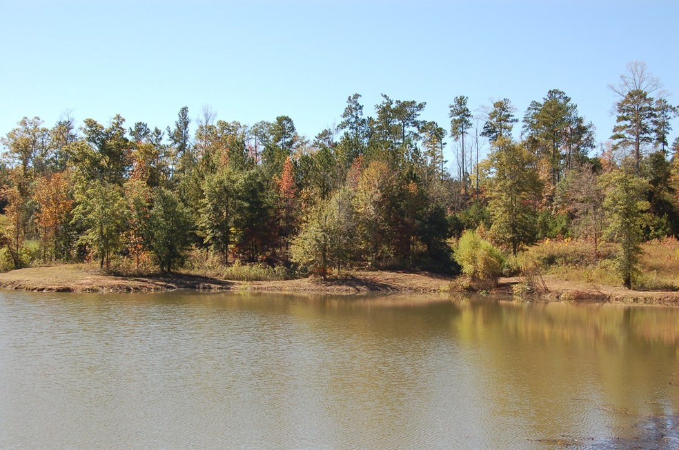 1080 Waterstone Dr, Madison, GA 30650 - photo 1