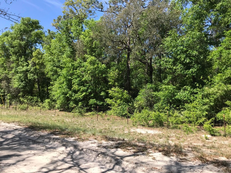 141 Indian Trail, Florahome, FL 32140 - photo 1