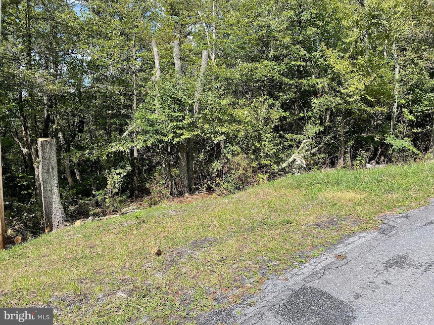 Lot 111 Cub Trail, Winchester, VA 22602 - photo 1