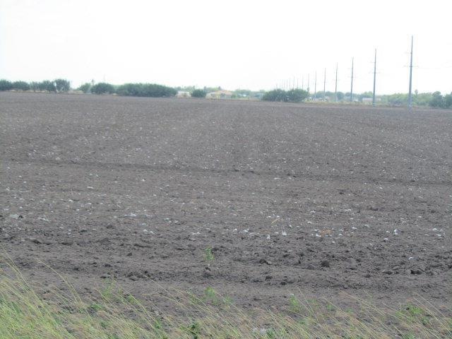 0 Minnesota Rd, Donna, TX 78537 - photo 1