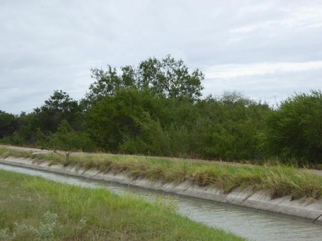 0 E Mile 12 N, Progreso Lakes, TX 78596 - photo 1